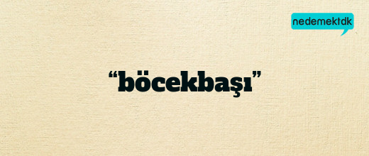 “böcekbaşı”