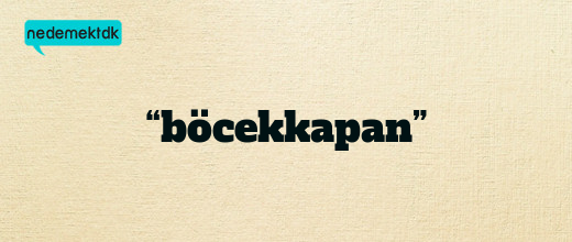 “böcekkapan”