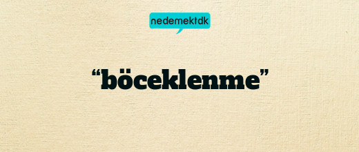 “böceklenme”