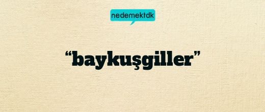 “baykuşgiller”