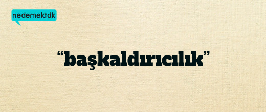 “başkaldırıcılık”