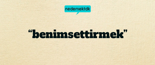 “benimsettirmek”