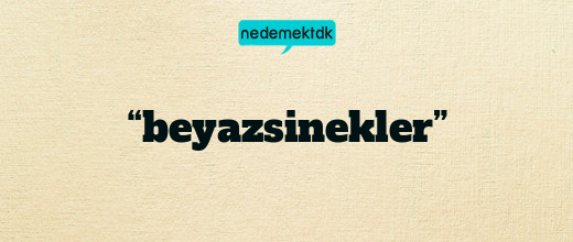 “beyazsinekler”