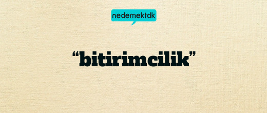 “bitirimcilik”