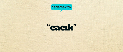 “cacık”