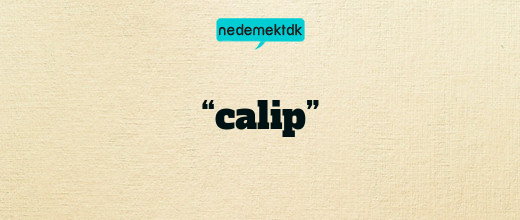 “calip”