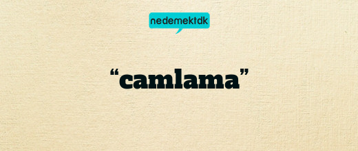 “camlama”