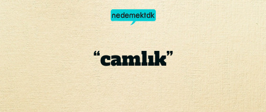 “camlık”