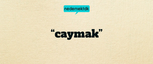 “caymak”