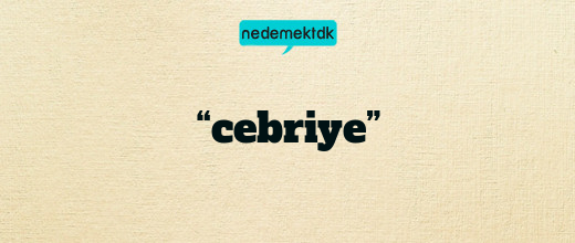 “cebriye”