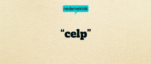 “celp”