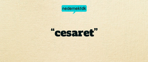 “cesaret”