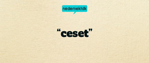 “ceset”