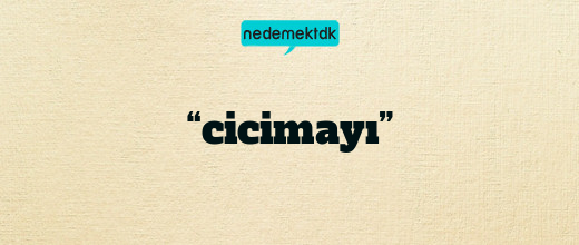 “cicimayı”