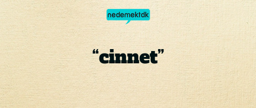 “cinnet”