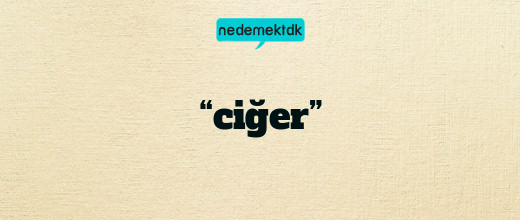 “ciğer”