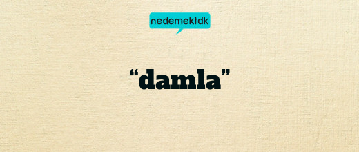 “damla”