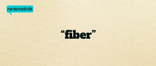 “fiber”