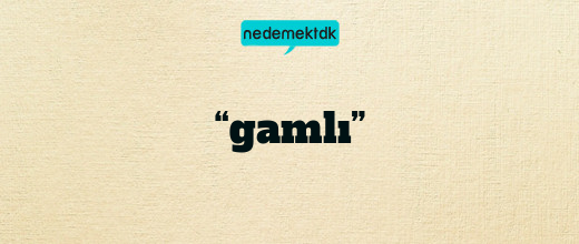 “gamlı”