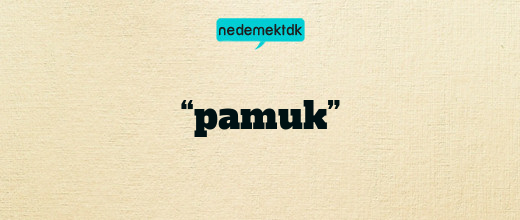 “pamuk”