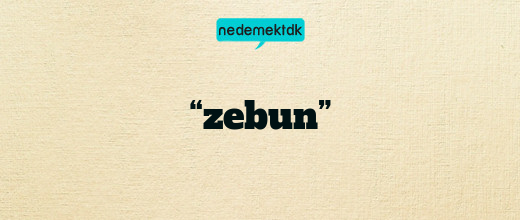 “zebun”