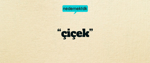 “çiçek”