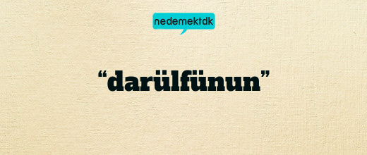 “darülfünun”