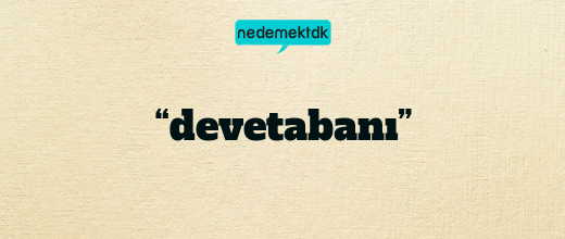 “devetabanı”