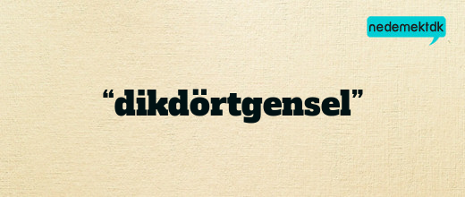 “dikdörtgensel”