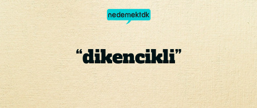 “dikencikli”