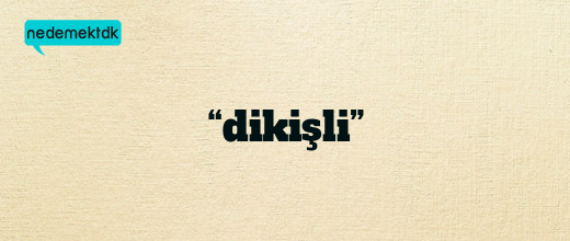 “dikişli”