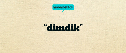 “dimdik”