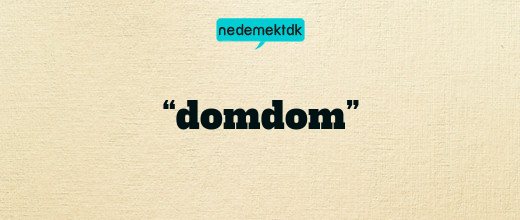 “domdom”