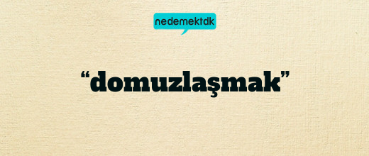 “domuzlaşmak”