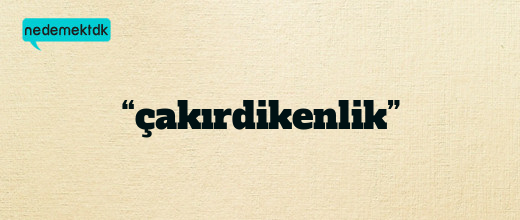 “çakırdikenlik”