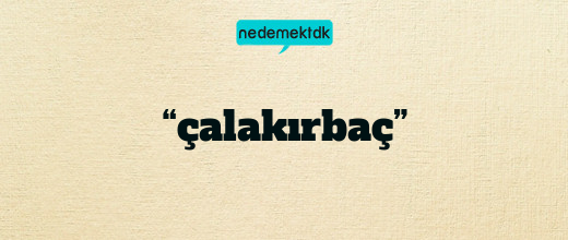 “çalakırbaç”