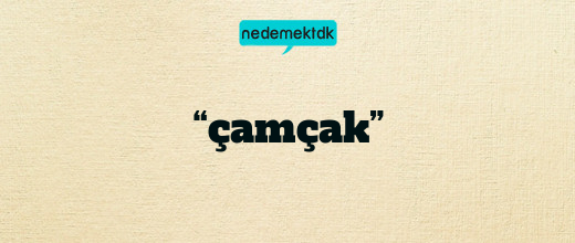 “çamçak”