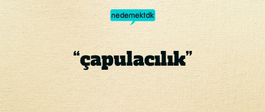 “çapulacılık”