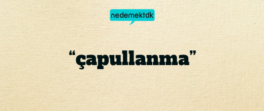 “çapullanma”