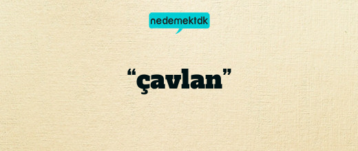 “çavlan”