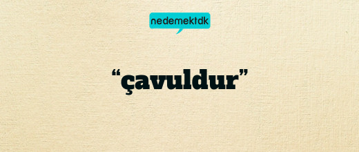 “çavuldur”