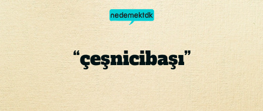 “çeşnicibaşı”