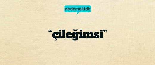 “çileğimsi”