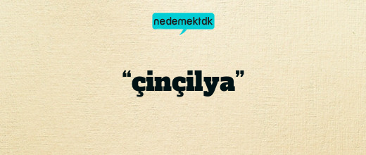 “çinçilya”