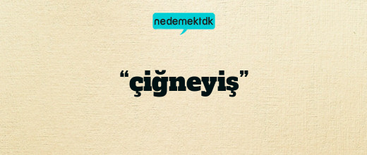 “çiğneyiş”