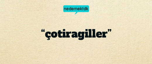 “çotiragiller”