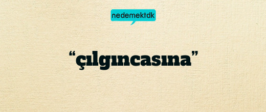 “çılgıncasına”