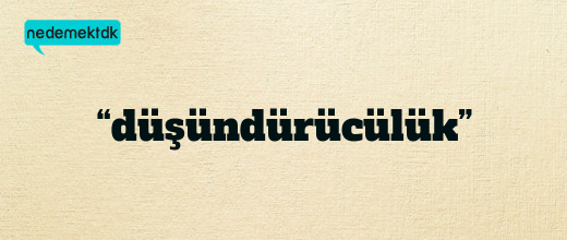 “düşündürücülük”