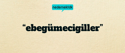 “ebegümecigiller”