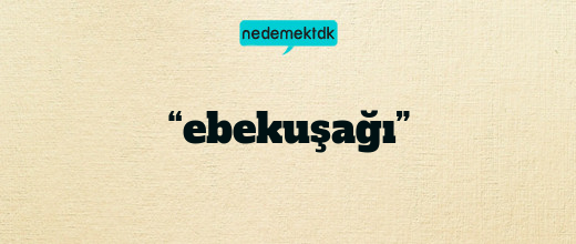 “ebekuşağı”